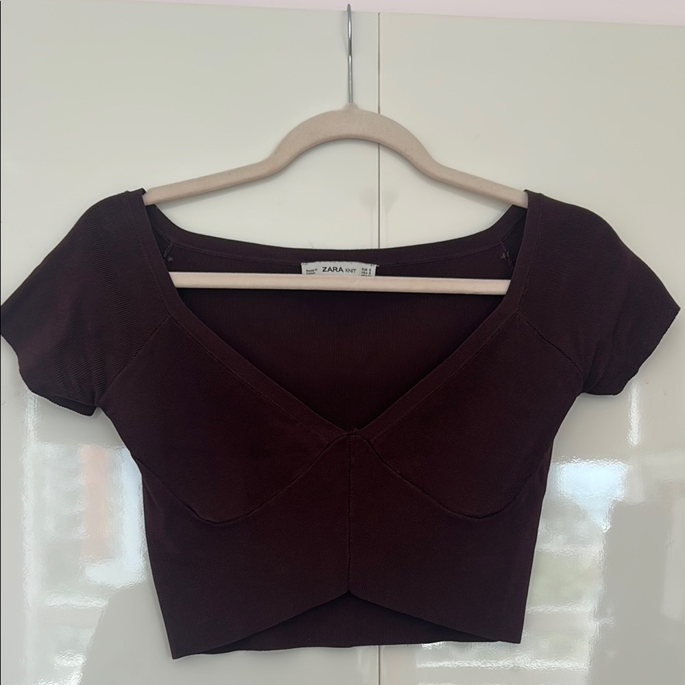 Zara Women's Brown Crop Top